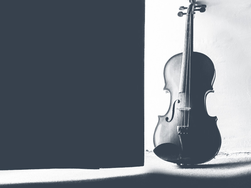 Fiddle DX